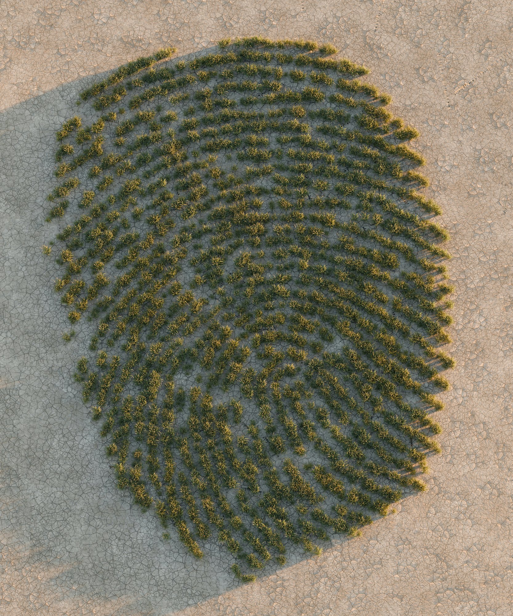 empreinte responsable