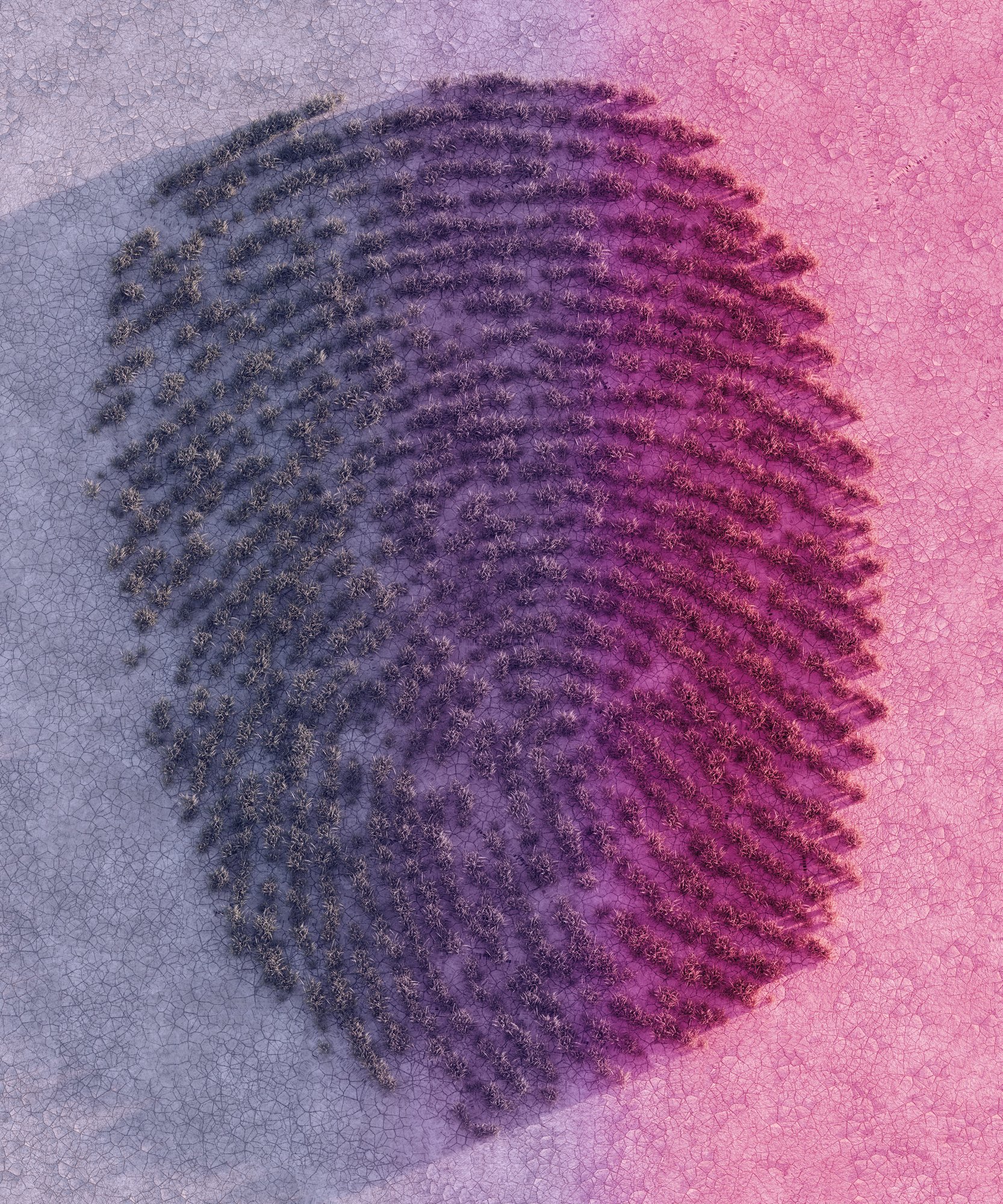 empreinte responsable