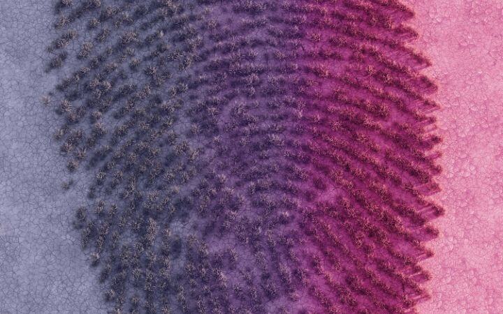 empreinte responsable