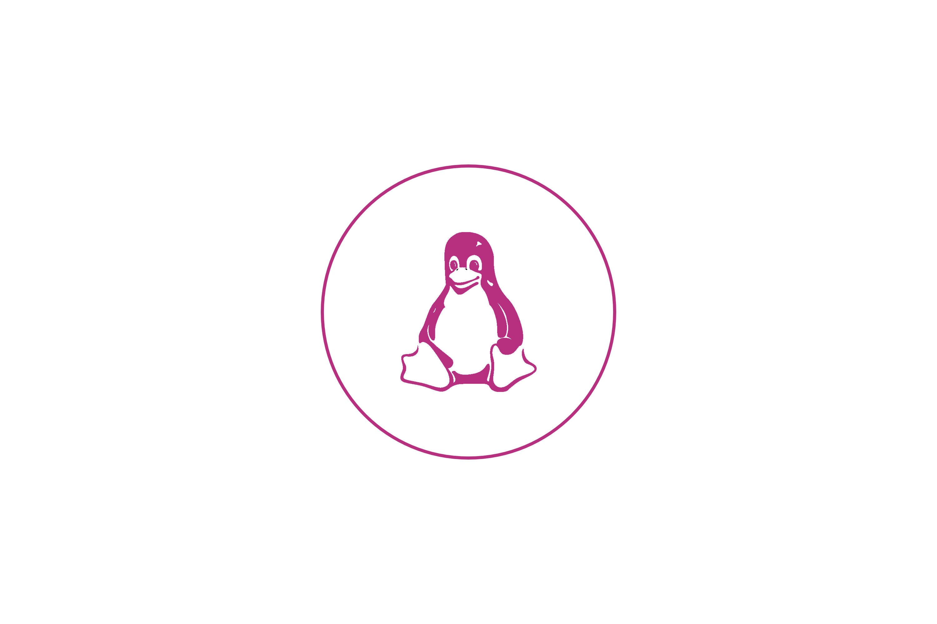 solutions-secteur-ecole-ingenieur-environnements-windows-linux